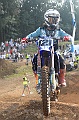 _ROB3937 (Copy)